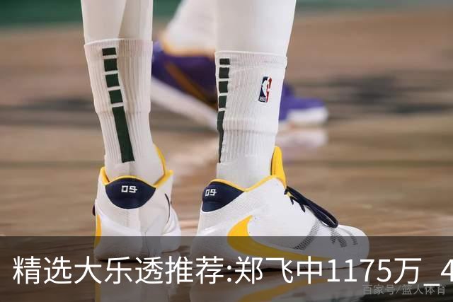 精选大乐透推荐:郑飞中1175万 4大专家中100万